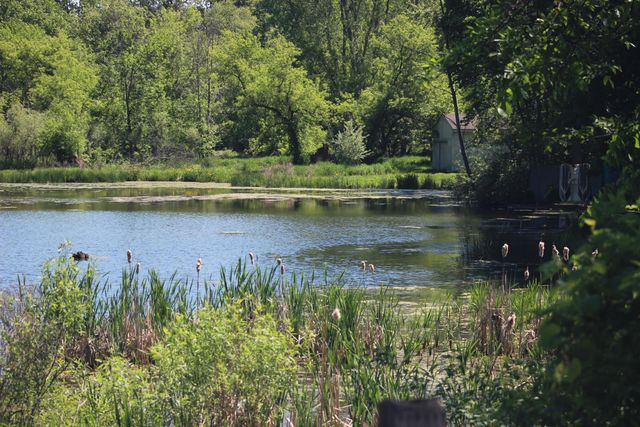 4861 Chauncey Drive Ne, Cannon Twp, MI 49306