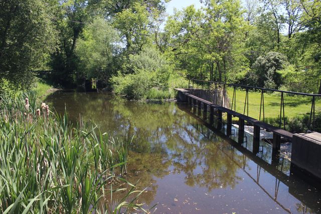 4861 Chauncey Drive Ne, Cannon Twp, MI 49306