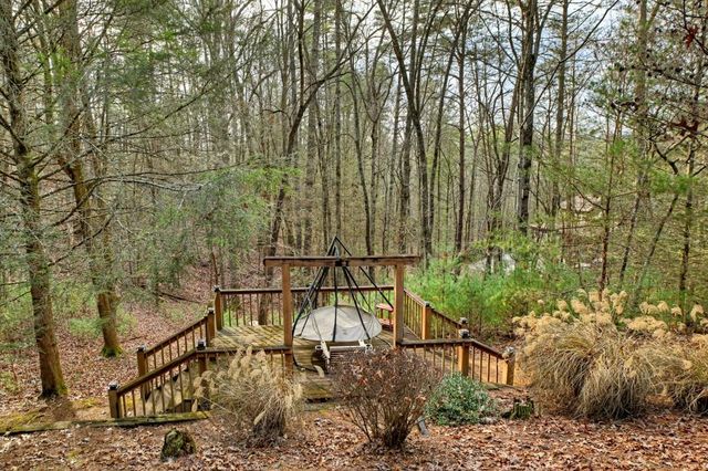 598 Whispering Pine Lane, Cherry Log, GA 30522