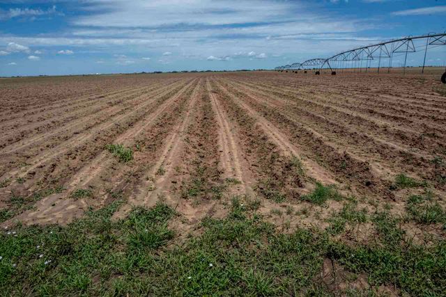 1730 S Slide Road, New Home, TX 79383