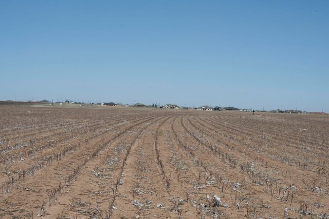 1730 S Slide Road, New Home, TX 79383