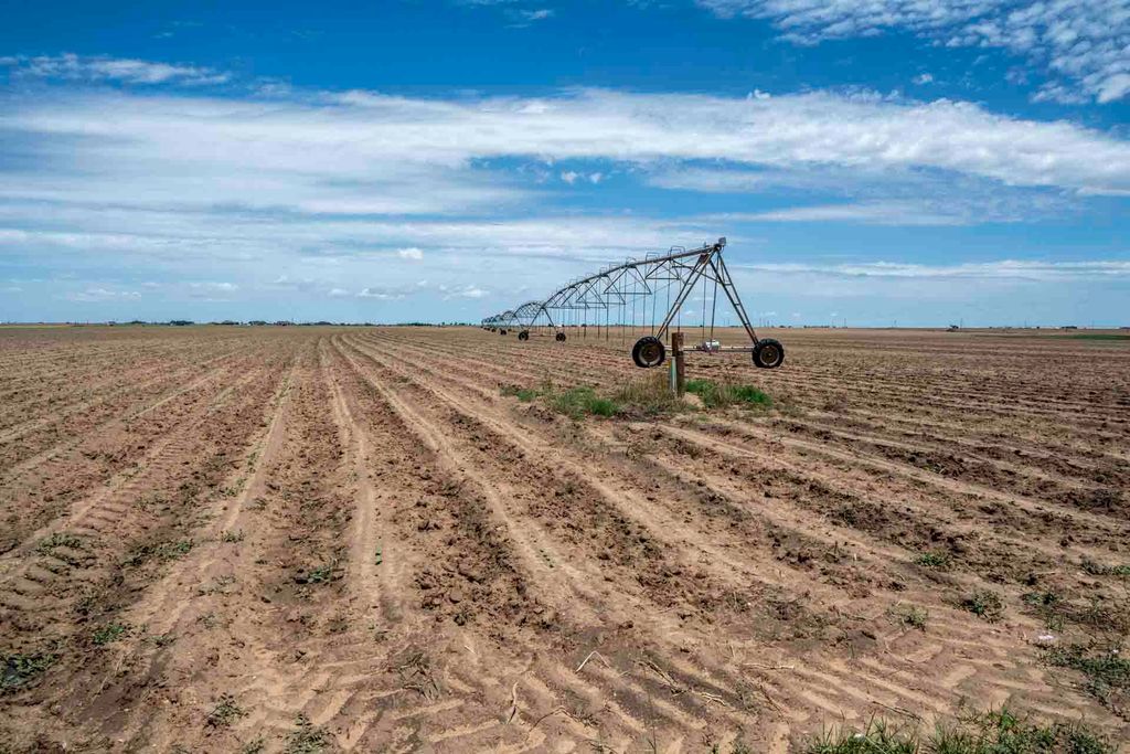 1730 S Slide Road, New Home, TX 79383