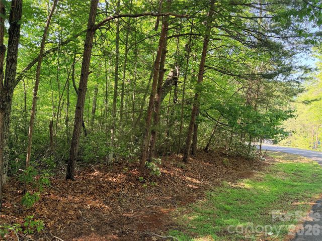 0 Mcdaniel Court, Lake Lure, NC 28746
