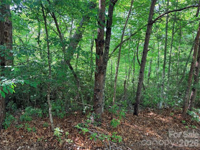 0 Mcdaniel Court, Lake Lure, NC 28746