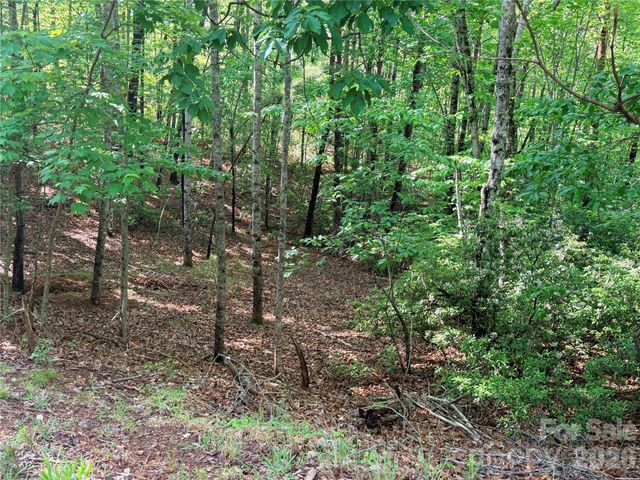 0 Mcdaniel Court, Lake Lure, NC 28746