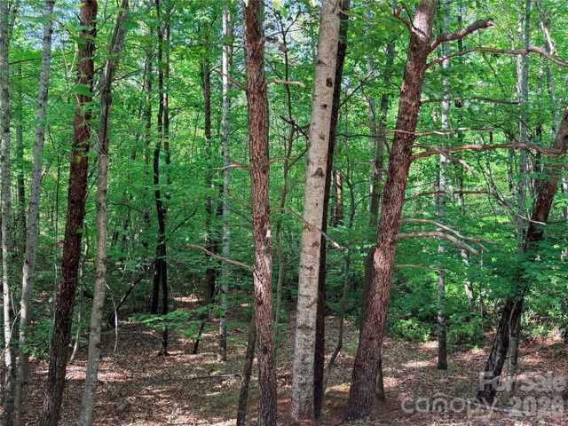 0 Mcdaniel Court, Lake Lure, NC 28746