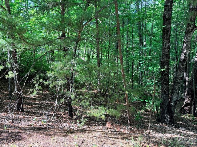 0 Mcdaniel Court, Lake Lure, NC 28746