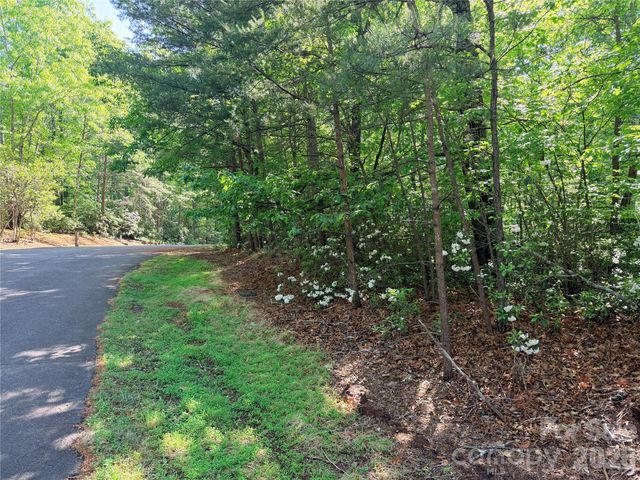0 Mcdaniel Court, Lake Lure, NC 28746