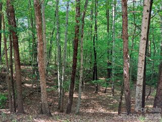 0 Mcdaniel Court, Lake Lure, NC 28746