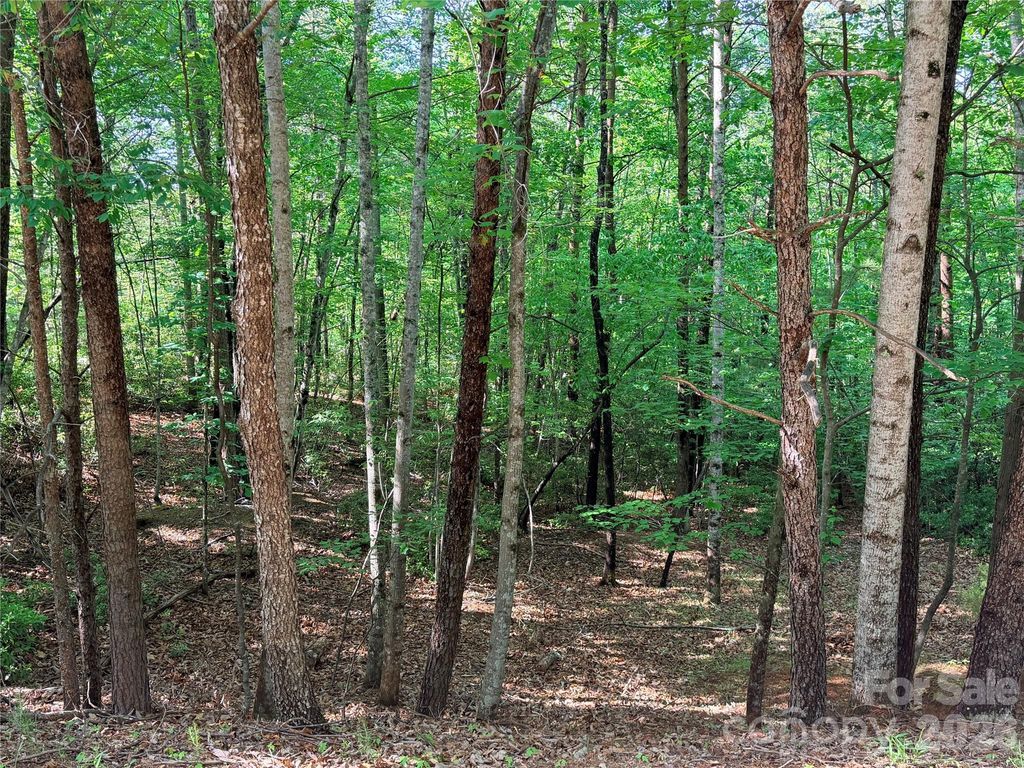 0 Mcdaniel Court, Lake Lure, NC 28746