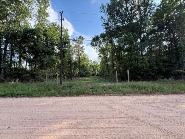 TBD E Capps Road Road, Livingston, TX 77351