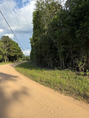 TBD E Capps Road Road, Livingston, TX 77351
