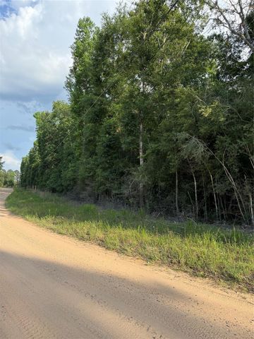 TBD E Capps Road Road, Livingston, TX 77351