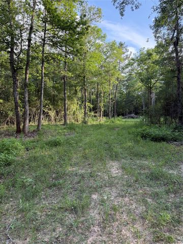 TBD E Capps Road Road, Livingston, TX 77351