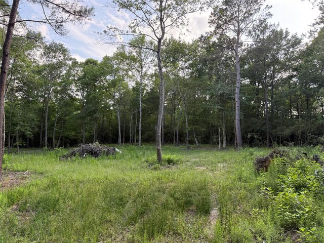 TBD E Capps Road Road, Livingston, TX 77351