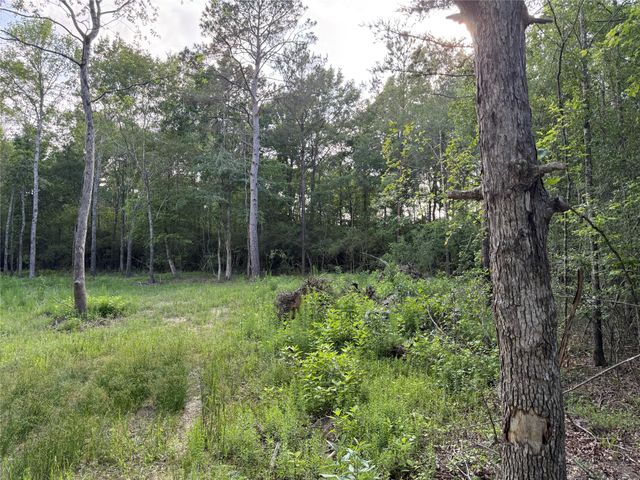 TBD E Capps Road Road, Livingston, TX 77351