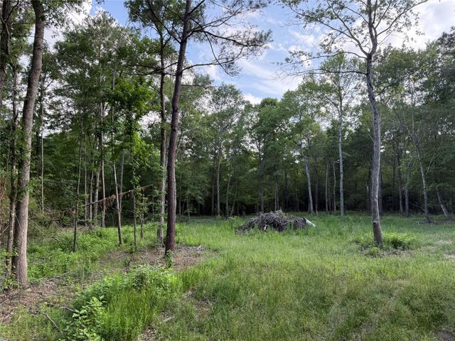 TBD E Capps Road Road, Livingston, TX 77351
