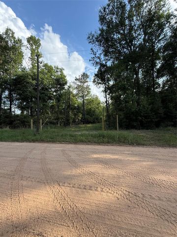 TBD E Capps Road Road, Livingston, TX 77351