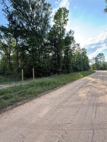 TBD E Capps Road Road, Livingston, TX 77351