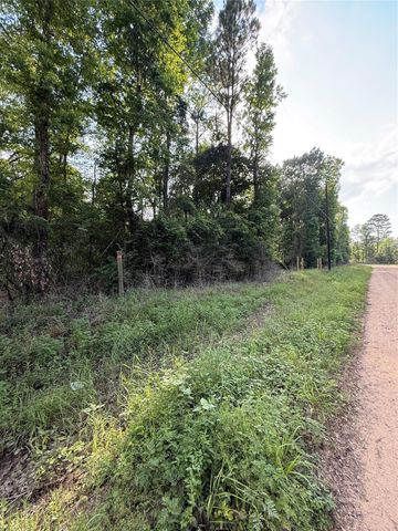 TBD E Capps Road Road, Livingston, TX 77351