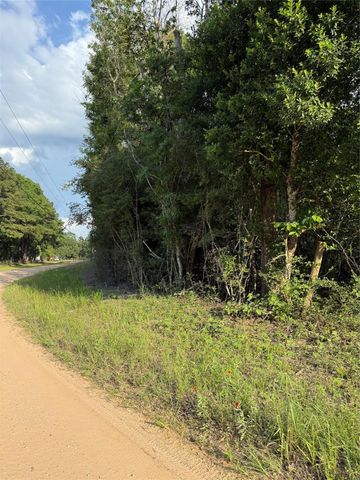 TBD E Capps Road Road, Livingston, TX 77351