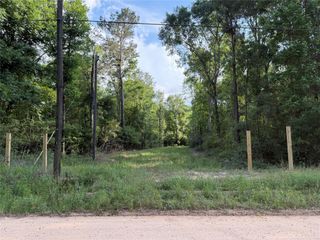 TBD E Capps Road Road, Livingston, TX 77351