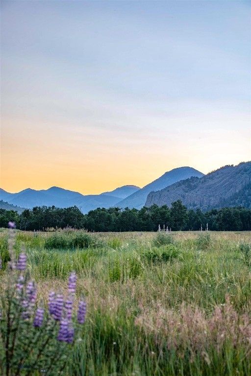 8 West Fork Road, Nye, MT 59061 photo 12