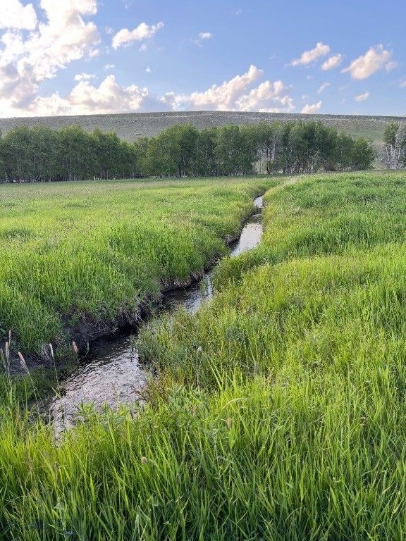 8 West Fork Road, Nye, MT 59061 photo 22