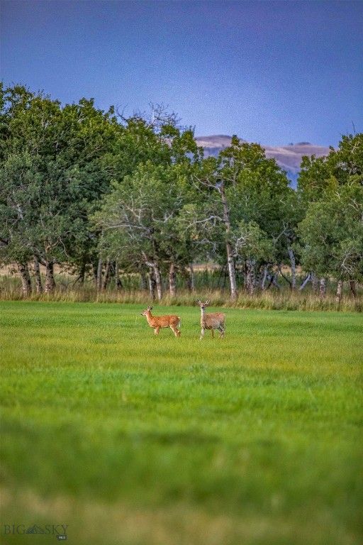 8 West Fork Road, Nye, MT 59061 photo 23