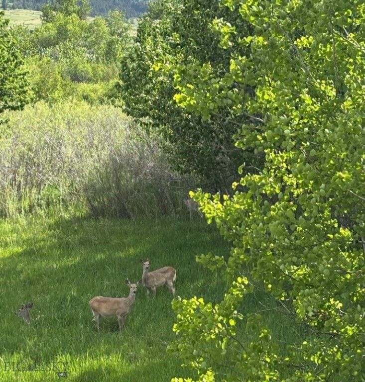 8 West Fork Road, Nye, MT 59061 photo 24