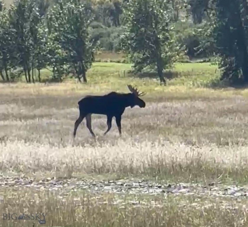 8 West Fork Road, Nye, MT 59061 photo 25
