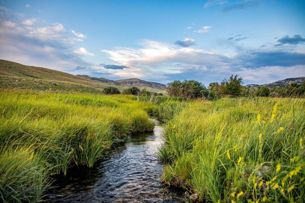 8 West Fork Road, Nye, MT 59061 photo 5