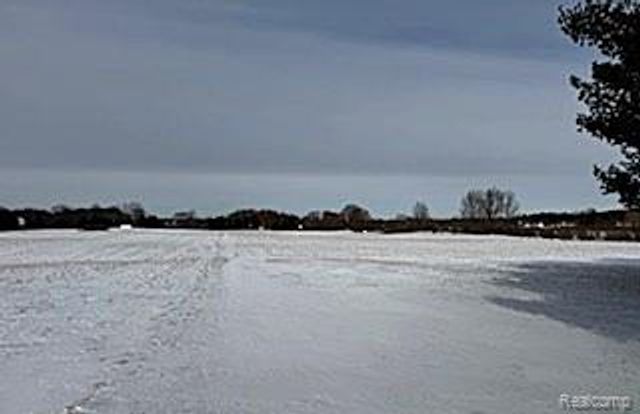 283 E Millington Road, Mayville, MI 48744