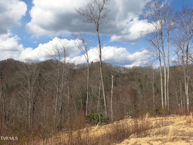 174 Teaberry Road, Roan Mountain, TN 37687