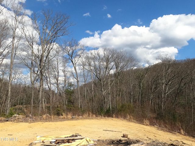 174 Teaberry Road, Roan Mountain, TN 37687
