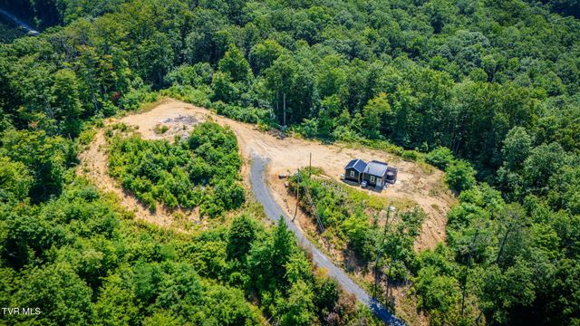 174 Teaberry Road, Roan Mountain, TN 37687