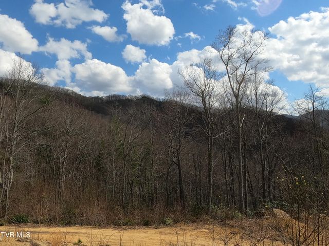 174 Teaberry Road, Roan Mountain, TN 37687