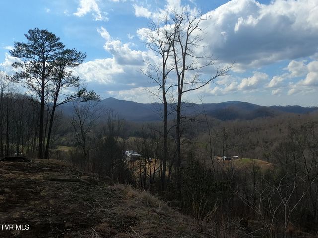 174 Teaberry Road, Roan Mountain, TN 37687