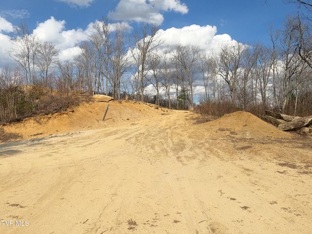 174 Teaberry Road, Roan Mountain, TN 37687