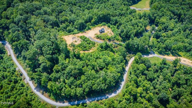 174 Teaberry Road, Roan Mountain, TN 37687