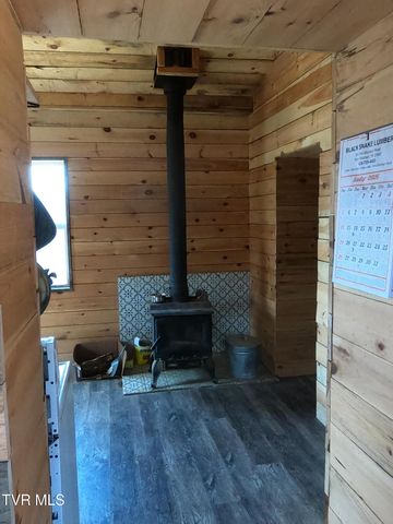 174 Teaberry Road, Roan Mountain, TN 37687