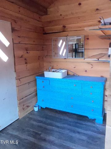 174 Teaberry Road, Roan Mountain, TN 37687