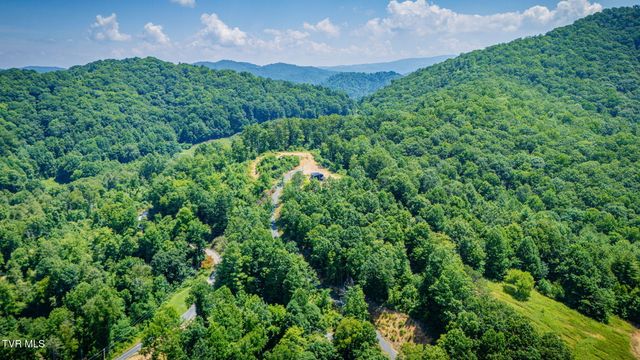 174 Teaberry Road, Roan Mountain, TN 37687