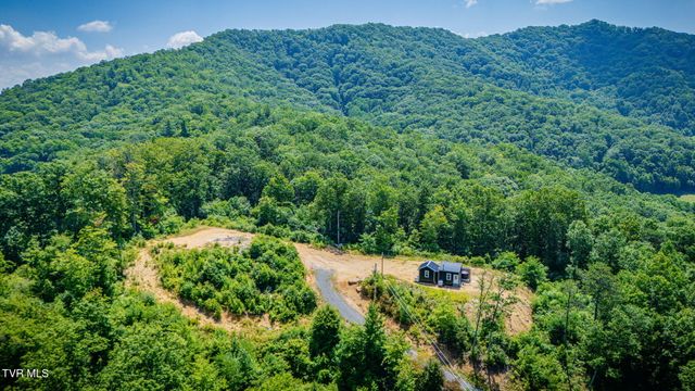 174 Teaberry Road, Roan Mountain, TN 37687