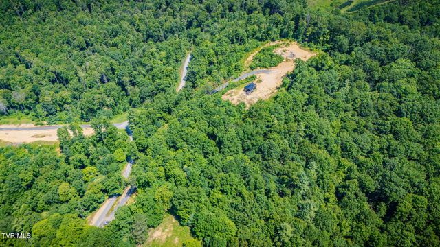 174 Teaberry Road, Roan Mountain, TN 37687