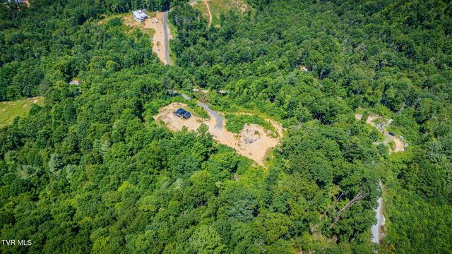 174 Teaberry Road, Roan Mountain, TN 37687