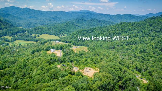 174 Teaberry Road, Roan Mountain, TN 37687