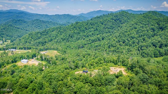174 Teaberry Road, Roan Mountain, TN 37687