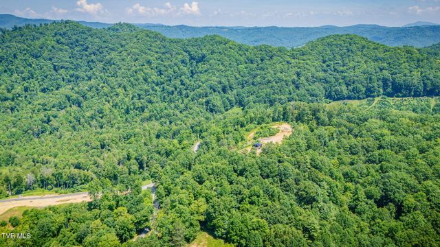 174 Teaberry Road, Roan Mountain, TN 37687