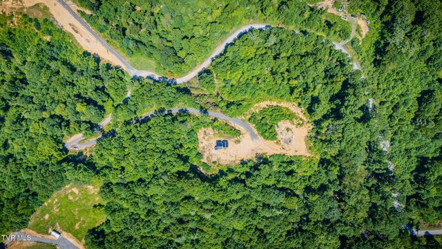 174 Teaberry Road, Roan Mountain, TN 37687